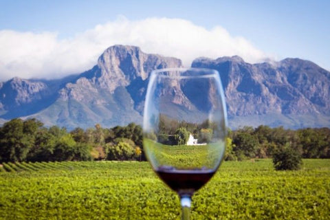 Wines of South Africa Tasting - 2nd October - 6.30pm