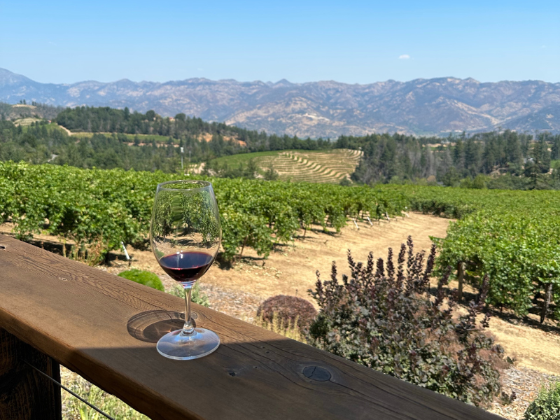 Red wine glass in vineyard